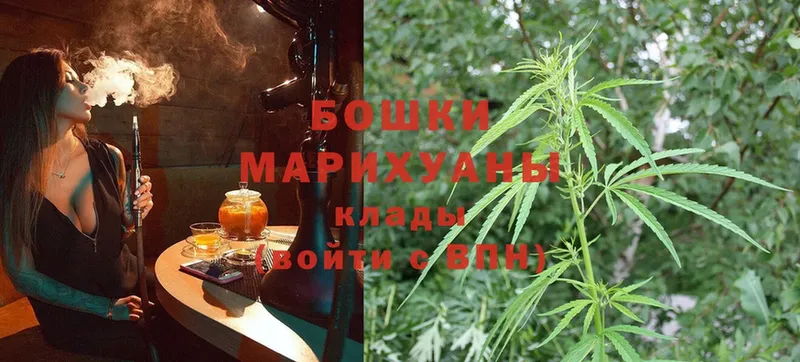 где купить наркоту  Бикин  Бошки Шишки OG Kush 